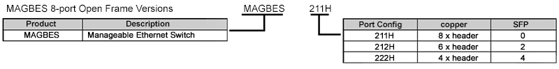 MAGBES-20 version