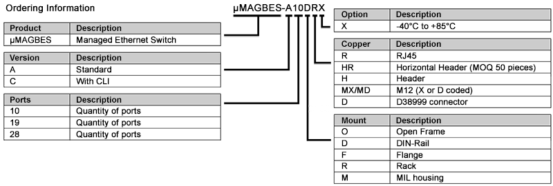 microMAGBESversion